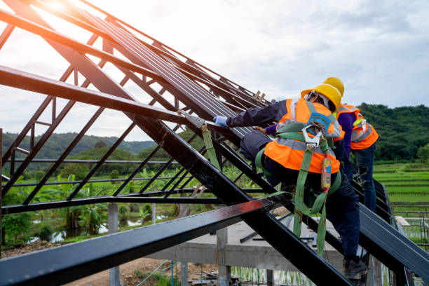 Best Roof Gutter Cleaning  in Sand Hill, PA