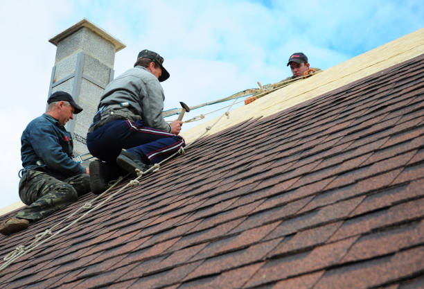 Best Shingle Roofing Installation  in Sand Hill, PA